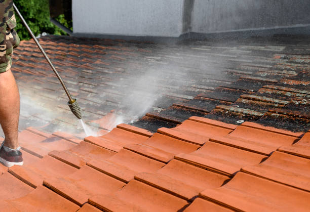 Professional Pressure Washing in Third Lake, IL