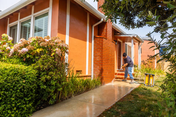 Best Power Washing Near Me  in Third Lake, IL
