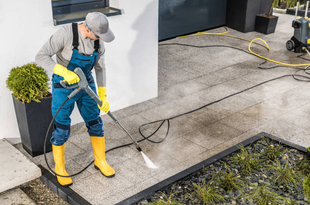Best Roof Power Washing Services  in Third Lake, IL