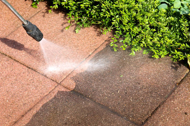 Best Fence Pressure Washing  in Third Lake, IL